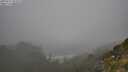 ./images/calvert/foggy-cove/20250715/foggy-cove20250715_102009M.jpg