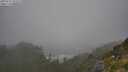 ./images/calvert/foggy-cove/20250715/foggy-cove20250715_102509M.jpg