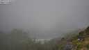 ./images/calvert/foggy-cove/20250715/foggy-cove20250715_103510M.jpg