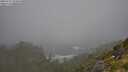 ./images/calvert/foggy-cove/20250715/foggy-cove20250715_104010M.jpg