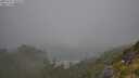 ./images/calvert/foggy-cove/20250715/foggy-cove20250715_104509M.jpg
