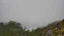 ./images/calvert/foggy-cove/20250715/foggy-cove20250715_122508M.jpg