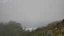 ./images/calvert/foggy-cove/20250715/foggy-cove20250715_123011M.jpg