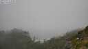 ./images/calvert/foggy-cove/20250715/foggy-cove20250715_123510M.jpg