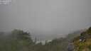 ./images/calvert/foggy-cove/20250715/foggy-cove20250715_124010M.jpg