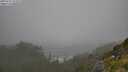 ./images/calvert/foggy-cove/20250715/foggy-cove20250715_124509M.jpg