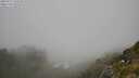 ./images/calvert/foggy-cove/20250715/foggy-cove20250715_133510M.jpg