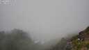 ./images/calvert/foggy-cove/20250715/foggy-cove20250715_134010M.jpg