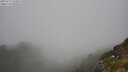 ./images/calvert/foggy-cove/20250715/foggy-cove20250715_134509M.jpg