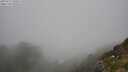 ./images/calvert/foggy-cove/20250715/foggy-cove20250715_135009M.jpg
