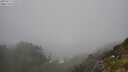 ./images/calvert/foggy-cove/20250715/foggy-cove20250715_135509M.jpg
