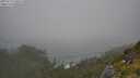 ./images/calvert/foggy-cove/20250715/foggy-cove20250715_140508M.jpg