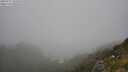 ./images/calvert/foggy-cove/20250715/foggy-cove20250715_141010M.jpg