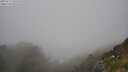 ./images/calvert/foggy-cove/20250715/foggy-cove20250715_141510M.jpg