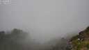 ./images/calvert/foggy-cove/20250715/foggy-cove20250715_142010M.jpg