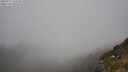 ./images/calvert/foggy-cove/20250715/foggy-cove20250715_142510M.jpg