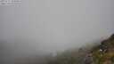 ./images/calvert/foggy-cove/20250715/foggy-cove20250715_143010M.jpg