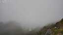 ./images/calvert/foggy-cove/20250715/foggy-cove20250715_143508M.jpg