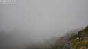 ./images/calvert/foggy-cove/20250715/foggy-cove20250715_144010M.jpg
