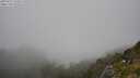 ./images/calvert/foggy-cove/20250715/foggy-cove20250715_144511M.jpg