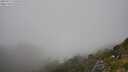 ./images/calvert/foggy-cove/20250715/foggy-cove20250715_145008M.jpg