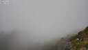 ./images/calvert/foggy-cove/20250715/foggy-cove20250715_145509M.jpg