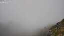 ./images/calvert/foggy-cove/20250715/foggy-cove20250715_150506M.jpg