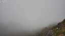 ./images/calvert/foggy-cove/20250715/foggy-cove20250715_151010M.jpg