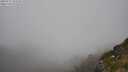 ./images/calvert/foggy-cove/20250715/foggy-cove20250715_151510M.jpg
