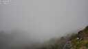 ./images/calvert/foggy-cove/20250715/foggy-cove20250715_152010M.jpg