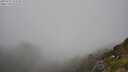 ./images/calvert/foggy-cove/20250715/foggy-cove20250715_152510M.jpg
