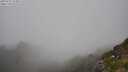 ./images/calvert/foggy-cove/20250715/foggy-cove20250715_153011M.jpg