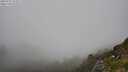 ./images/calvert/foggy-cove/20250715/foggy-cove20250715_153507M.jpg