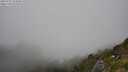 ./images/calvert/foggy-cove/20250715/foggy-cove20250715_154010M.jpg