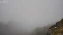 ./images/calvert/foggy-cove/20250715/foggy-cove20250715_154510M.jpg