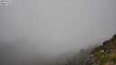 ./images/calvert/foggy-cove/20250715/foggy-cove20250715_155010M.jpg