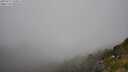 ./images/calvert/foggy-cove/20250715/foggy-cove20250715_160011M.jpg