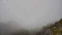 ./images/calvert/foggy-cove/20250715/foggy-cove20250715_160510M.jpg