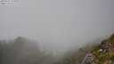 ./images/calvert/foggy-cove/20250715/foggy-cove20250715_161010M.jpg
