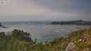 ./images/calvert/foggy-cove/20250715/foggy-cove20250715_162008M.jpg
