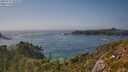 ./images/calvert/foggy-cove/20250715/foggy-cove20250715_165010M.jpg