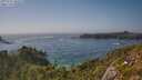 ./images/calvert/foggy-cove/20250715/foggy-cove20250715_165508M.jpg