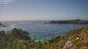 ./images/calvert/foggy-cove/20250715/foggy-cove20250715_170508M.jpg