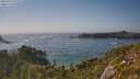 ./images/calvert/foggy-cove/20250715/foggy-cove20250715_172009M.jpg