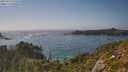 ./images/calvert/foggy-cove/20250715/foggy-cove20250715_172510M.jpg