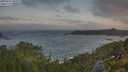 ./images/calvert/foggy-cove/20250716/foggy-cove20250716_060009M.jpg