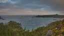 ./images/calvert/foggy-cove/20250716/foggy-cove20250716_064006M.jpg