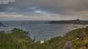 ./images/calvert/foggy-cove/20250716/foggy-cove20250716_065009M.jpg