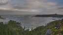 ./images/calvert/foggy-cove/20250716/foggy-cove20250716_075010M.jpg