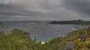 ./images/calvert/foggy-cove/20250716/foggy-cove20250716_080510M.jpg
